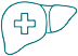 Paediatric Hepatology