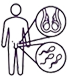 Male Infertility - Andrology