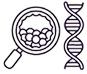 Preimplantation Genetic Testing (PGT)